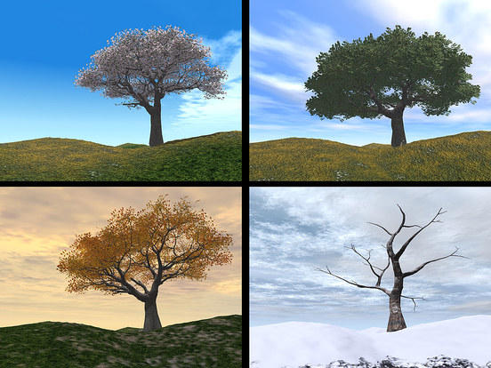 Weather And The Four Seasons Introduction